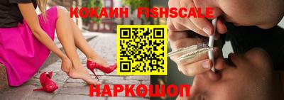 гашик Будённовск